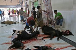 Fifty cows were slaughtered in Cebu City's slaughterhouse in this photo during the preparation for a recent Islam celebration. The Cebu City government is preparing its answer to Mandaue City's demand for taxes and notice of violations. (CDN PHOTO/ JUNJIE MENDOZA)