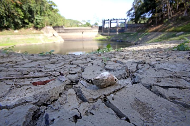 DRY SPELL. As expected, summer means the water level in the Buhisan dam is very low, affecting 5 percent of water supply to Metro Cebu. In the mountains, some city farm lands can look this dry. (CDN FILE PHOTO)