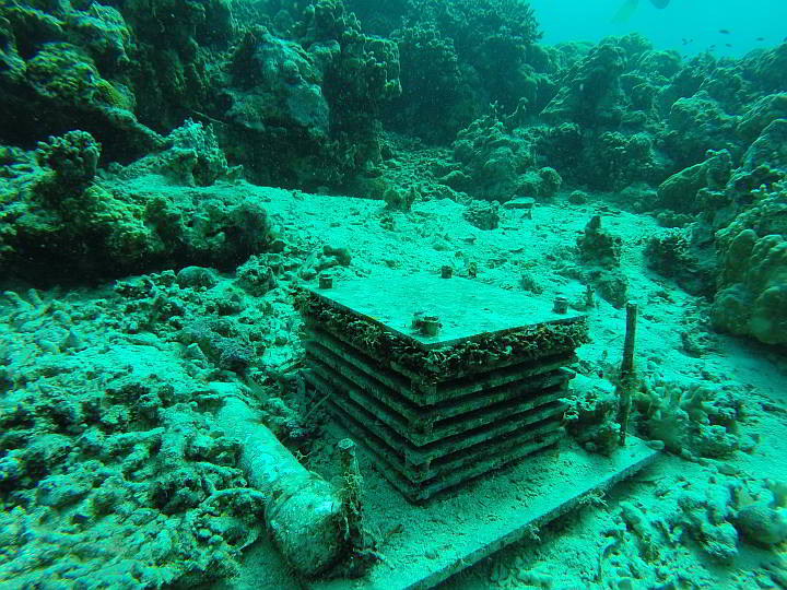 The Autonomous Reef Monitoring Structure at the bottom of the Alegria Marine Sanctuary in the eastern side of Cordova. (CONTRIBUTED PHOTO/ DENR-7)