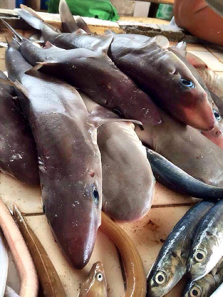 This photo of juvenile sharks sold in Dalaguete's wet market was posted online and caught the attention of authorities.(SOURCE: MARINE WILDLIFE WATCH OF THE PHILIPPINES)