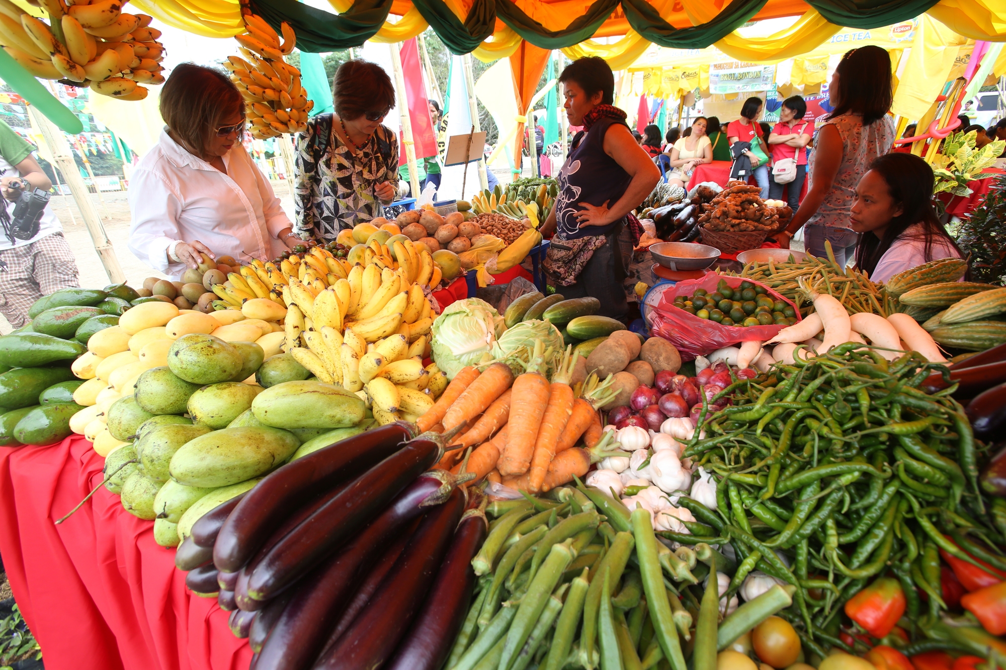 Cebu City's mountain barangay's offer low-priced fruits, vegetables and flowers (above) in this file photo taken during the Pahugyaw sa Kabukiran festival. The tourism commission, headed by Tetta Baad (left), plans to put up a Farmers' Market as part of a new tour package.(CDN FILE PHOTO)