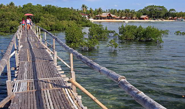  The white sand beach of Olango Paradise Resort (right) is surrounded by both a fish sanctuary and the bird sanctuary in barangay San Vicente, Olango Island, Lapu-Lapu City. The boardwalk leads to the fish sanctuary. Today marks the annual observance of World Oceans Day.  (CDN PHOTO/TONEE DESPOJO)
