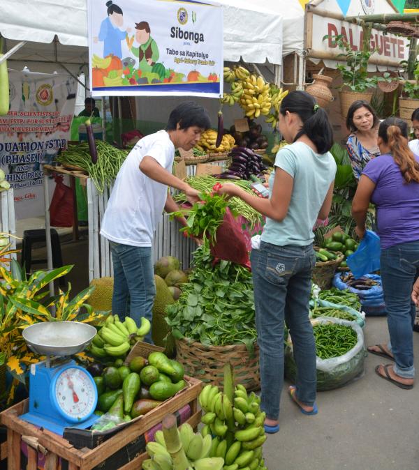Fresh vegetables and fruits in the Agri-Fishery Trade Fair opened at the Capitol grounds for the 446th founding anniversary of the Province of Cebu. (CDN PHOTO/ CHRISTIAN MANINGO)