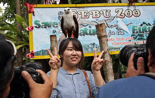 A Korean tourist poses for a photo with a Brahminy Kite Hawk or "Banog" on her head while celebrating Valentines Day with her friends in the Cebu City Zoo last February.