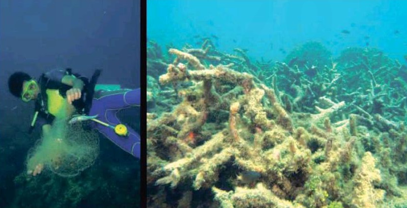 Fish nets abandoned in the sea result in the "ghost fishing". Damaged corals are left as rubble in the seafloor of Malusay and Hilaitan, Guihulngan, Negros Oriental, observed in a September 15-22 expedition of the Tanon Strait by conservation  members of Oceana. 