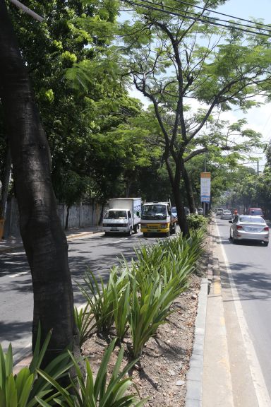 Pope John Paull II Avenue in barangay Mabolo will be closed for traffic for a dry run of rerouting on Nov. 23, a Monday, in preparation for the International Eucharistic Congress in January next year.