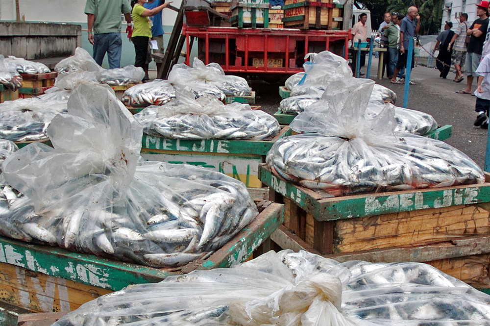 Boxes of fish caught through dynamite fishing are seized by provincial authorities in this July 2011 file photo.