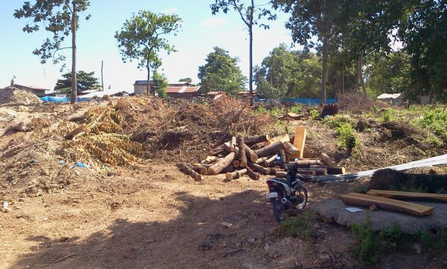 A cease-and-desist order was issued to stop the cutting of trees within a disputed property in barangay Paknaan, Mandaue City occupied by lawyer Briccio Boholst. (CDNPHOTO/NORMAN V. MENDOZA)