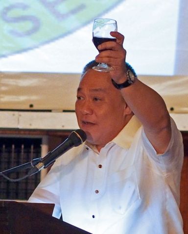 Cebu Gov. Hilario Davide III leads a toast at a gala dinner in August 8, 2014 for the founding anniversary of Cebu province. That's the year the Commision on Audit financial report said Cebu province registered the highest value of assets and equity in the country, besting its own past record.