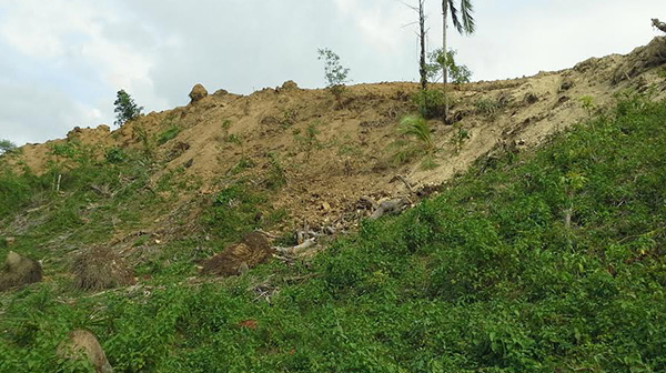 A field cleared of trees by Sun Asia Energy Inc. for a solar plant in barangay Talavera, Toledo City. Some tree stumps were already buried when DENR inspected the site.