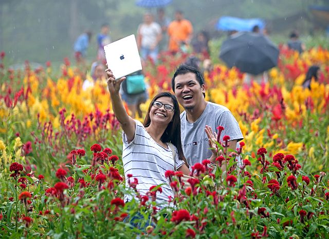 BRGY SIRAO FLOWER SELFIE/OCT.31,2015:Visitors of the flower plantation in Barangay Sirao pose for a selfie.(CDN PHOTO/LITO TECSON)
