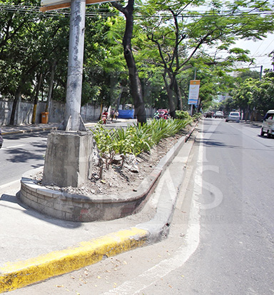 Pope John Paul II Avenue is one of the few tree-lined streets left in Cebu City. Mayor Michael Rama wants to remove some trees and the center island to ensure smooth traffic during the International Eucharistic Congress (IEC) in January.