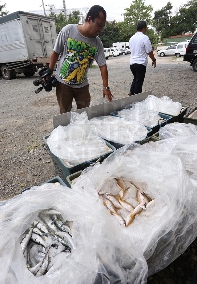 Boxes of confiscated fish caught using dynamite were brought to the Capitol after a truck was intercepted in Carmen town. But later at the Capitol compound, about 30 kilos were pilfered. (CDN PHOTO/JUNJIE MENDOZA)
