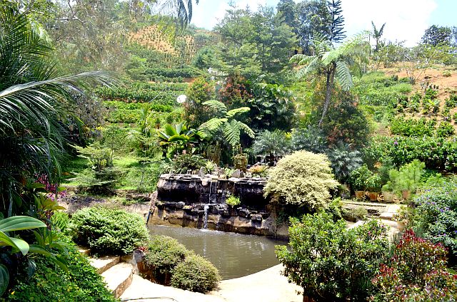 Betty's Botanical Garden in Cantipla