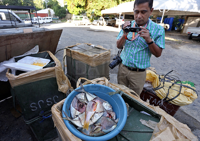 A Capitol employee takes a video of the boxes of fish for documentation. The blasted fish were seized in Carmen town, northern Cebu. (CDN PHOTO/JUNJIE MENDOZA)