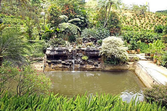 Betty’s Botanical Garden in the mountain barangay of Cantipla is among the highland attractions in Cebu City. (CDN PHOTO/LITO TECSON)