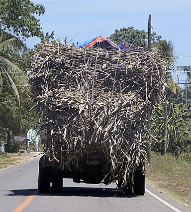 SILOY IS WATCHING/MAR. 20, 2016 A loaded truck sugarcane in Bogo City, Cebu with some of its cargo is dangling down the road. (CDN PHOTO/CHRISTIAN MANINGO)