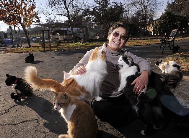 In this Dec. 17, 2015 photo, Lynea Lattanzio plays with some of her cats in Reedley, California. (AP)
