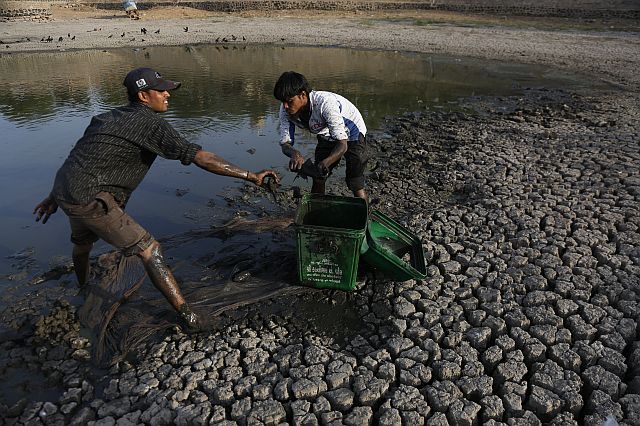 Indian men remove dead fish and try to rescue the surviving ones from the Vastrapur Lake that dried up due to hot weather in Ahmadabad, India. India is grappling with severe water shortages and drought affecting more than 300 million people. (AP)