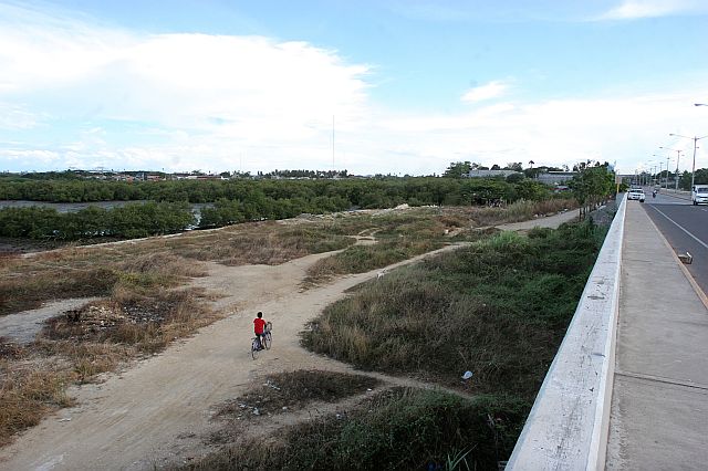 NO TO RECLAMATION/MAY 21, 2016: The land claimant of this part of the 131-hectares of land with mangroves plants beside the Cansaga bridge at barangay Paknaan Mandaue City opposed the Mandaue City government plan to reclaim the area to create a Global City.(CDN PHOTO/JUNJIE MENDOZA)