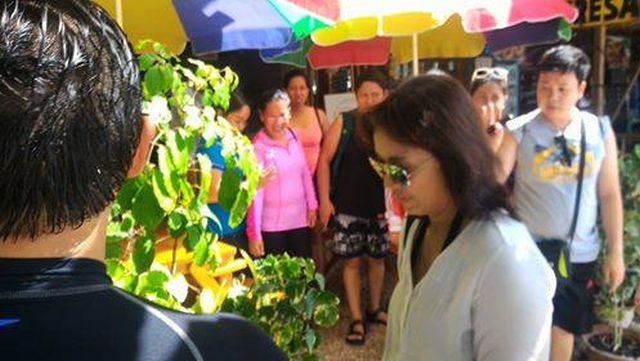 Vice President-elect Leni Robredo was spotted in Oslob, south of Cebu. (CONTRIBUTED)
