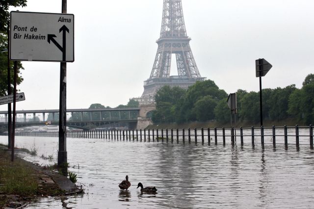 Ducks swim on the overflowing embankments of Paris on Wednesday. (AP)