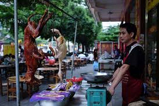 A cook waits for customers behind a roasted dog outside a restaurant in Yulin, in China's southern Guangxi region. (AFP)