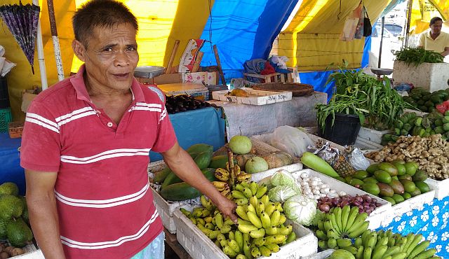 Juanito Redelosa, a 61-year-old farmer from Brgy. Sirao, abandoned the excessive use of chemical pesticides after decades of exposure left his body weak, prone to fainting and chest pains. He is doing his best to adhere to good agricultural practices (GAP). (PHOTO/ FRAULINE SINSON)