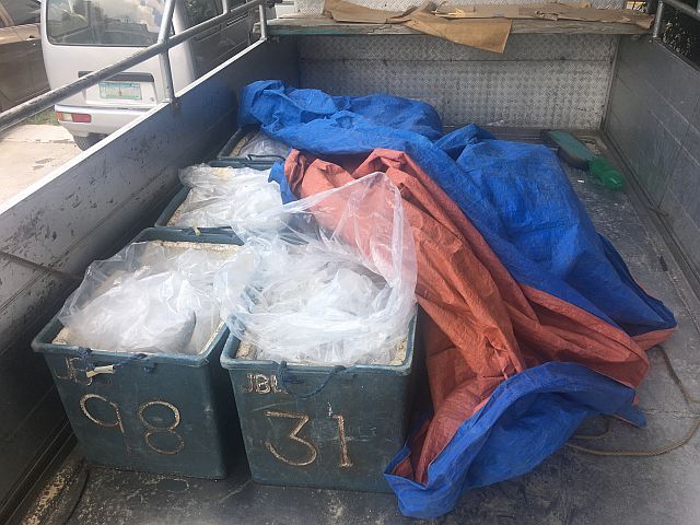 Eight boxes of blasted fish were seized by the Cebu Provincial Anti-Illegal Fishing Task Force in an operation yesterday. (CDN PHOTO/JOSE SANTINO BUNACHITA)