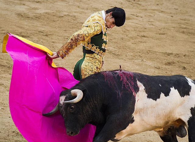 In this May 16, 2011 photo, Spanish bullfighter Victor Barrio performs during a bullfight of the San Isidros fair at the Las Ventas Bullring in Madrid. The 29-year-old matador was fatally gored in Spain during a bullfight on July 9 in the eastern town of Teruel, the first professional bullfighter to be killed in the ring in more than three decades. 