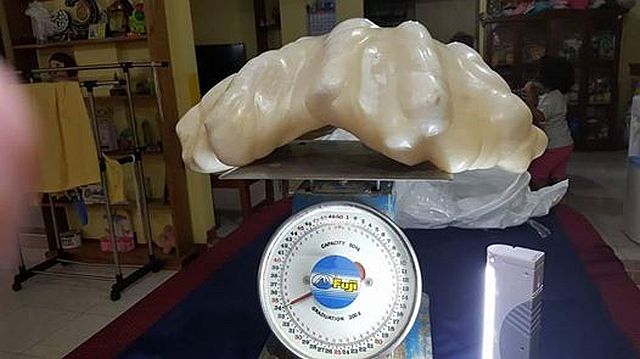 The 34-kilogram pearl from Punta Princesa, Palawan. (FACEBOOK GRAB)