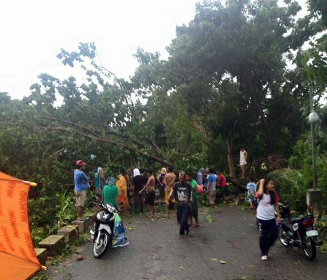 Residents of Barangay Odlot assess the damage wrought by the tornado which destroyed houses and uprooted trees. (FROM THE FACEBOOK PAGE OF Odlot Barangay Captain Emily Juanillo)