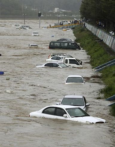 Vehicles are submerged in floodwaters caused by Typhoon Chaba in Gyeongju, South Korea, Wednesday. (AP)
