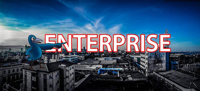 ENTERPRISE