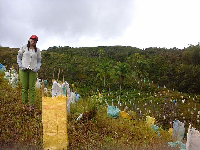 Cerdeña Elementary School principal Cathalie Lovina Cardoza with the fruit trees wrapped in sacks beside her.  (CONTRIBUTED PHOTO) 