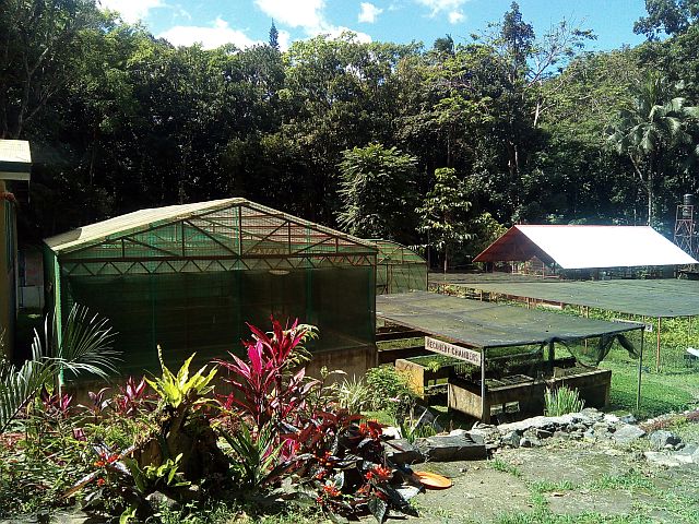 The vermi-composting area located inside the clonal nursery of the experimental forest of the Osmeña Reforestation Project is an example of how the DENR and local communities work together to address waste management and curb illegal activities. (CDN PHOTO/CRIS EVERT LATO-RUFFOLO)