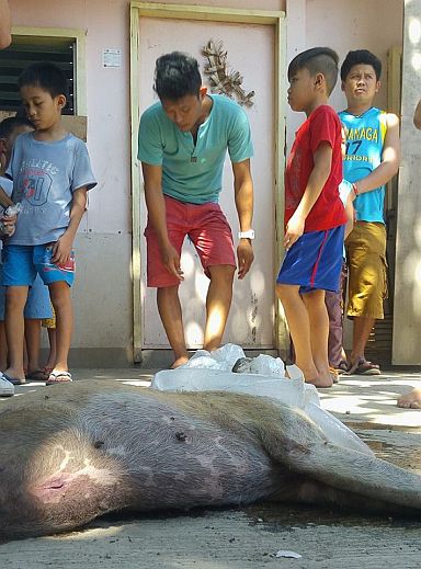 Curious residents check out the the dead dog that died after it had bitten at least 21 people in Barangay Casuntingan, Mandaue City. (CDN PHOTO / TONEE DESPOJO) 