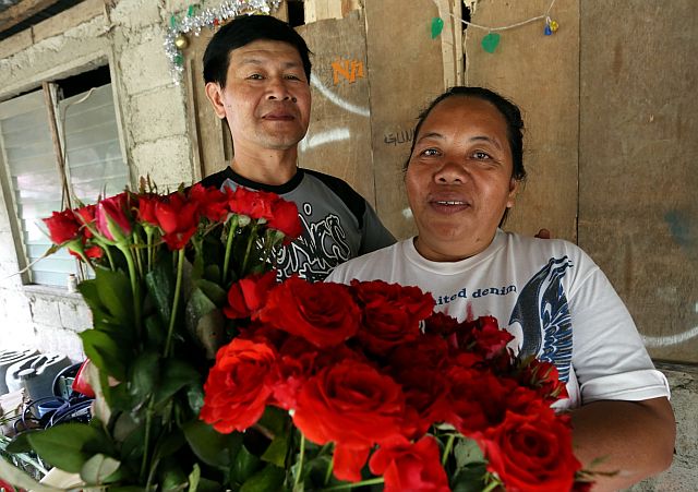 Rose growers Jun and Elvie Zamora of Barangay Bonbon, Cebu City,  nurture their love as husband and wife like the way they  grow their flowers, fertilized with unwavering attention and care. (CDN PHOTO/JUNJIE MENDOZA)