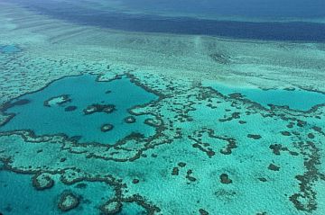 An aerial view of the Great Barrier Reef. /AFP