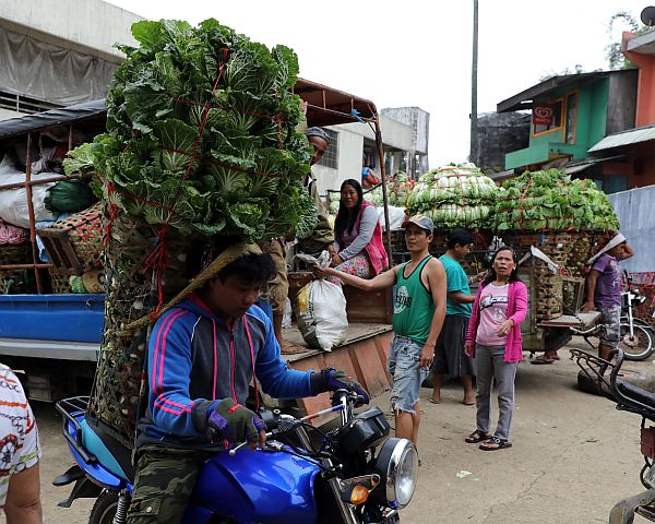 Like many other areas in Cebu, the province’s vegetable capital, Mantalungon, located in the town of  Dalaguete, will have to prepare for the effects of El Niño forecasted in July. The Provincial Capitol has asked farmers in Cebu  to begin applying for crop insurance to prepare for any eventuality brought on by the weather phenomenon.   CDN PHOTO/TONEE DESPOJO