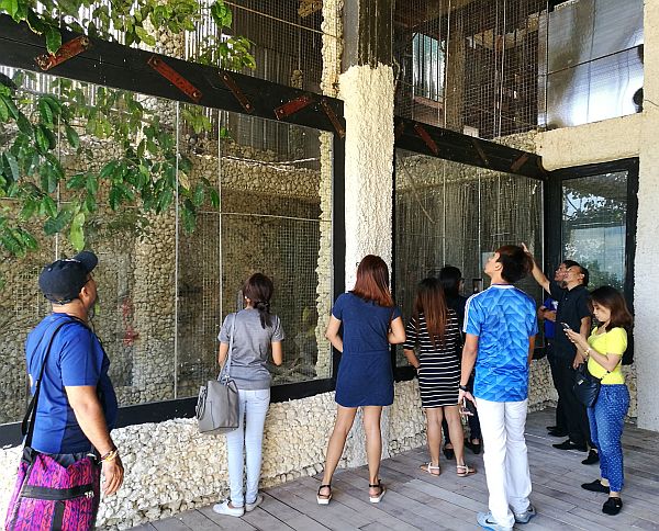 Diners and guests of  the Kalaw Resto and Bar in Nivel Hills, Barangay Busay, Cebu City enjoy a walk along the restaurant’s  aviary that showcases over a hundred birds from about 30 species. 