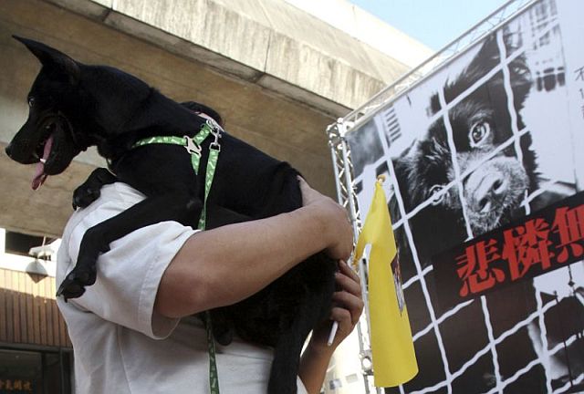 A Taiwanese man holds his dog during a gathering to demand establishment of a government department to protect dogs and cats from their owners who abused or dumped the animals in Taipei, Taiwan. (AP)