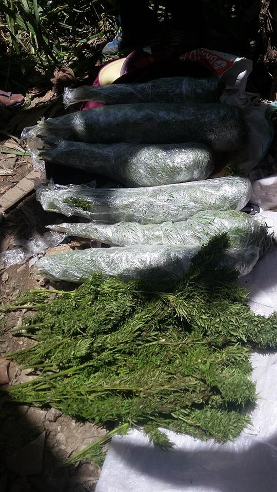 Ten kilos of marijuana confiscated from Arnold Jhon Campañon and Tristan Labella. (Contributed Photo)