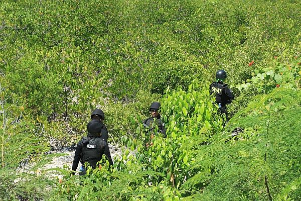 A team of SWAT conducting search of armed persons at a mangrove area in Barangay San Vicente Olango island and traces of food and stationary area believed to be of the armed persons. (CDN PHOTO/NORMAN MENDOZA)