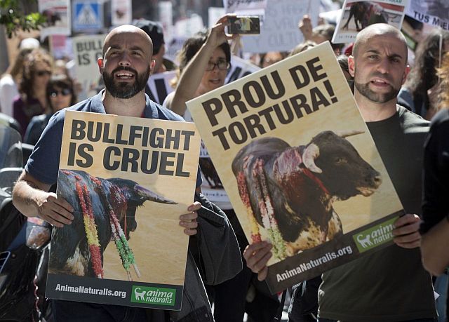 Protesters carry banners during an anti-bullfighting demonstration march in Madrid, Spain, Saturday. /AP