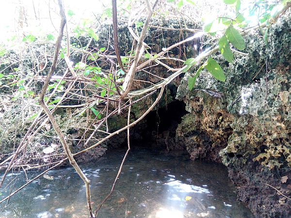 “Kastila Cave” in Barangay Kahayag on Pangangan Island, Calape town, Bohol, was where the two remaining Abu Sayyaf bandits, known only as Abu Ubayda and Alias Asis, hid under the cover of a mangrove forest until they accosted a resident and held his son  hostage in exchange for food.  