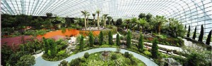 The Flower Dome,  the largest glass  greenhouse in the world. photo: gardens by the bay