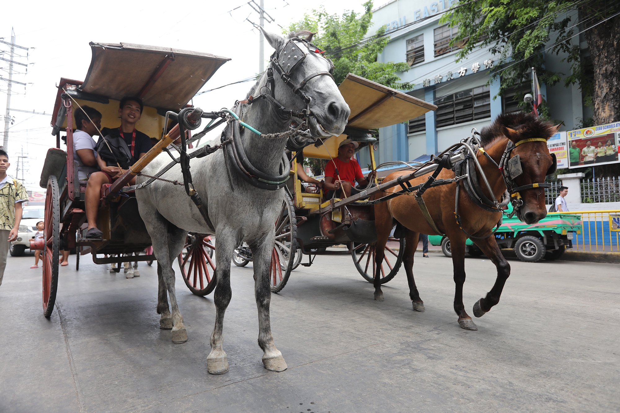 Tartanillas Kutseros brave the streets of Cebu City | Cebu Daily News