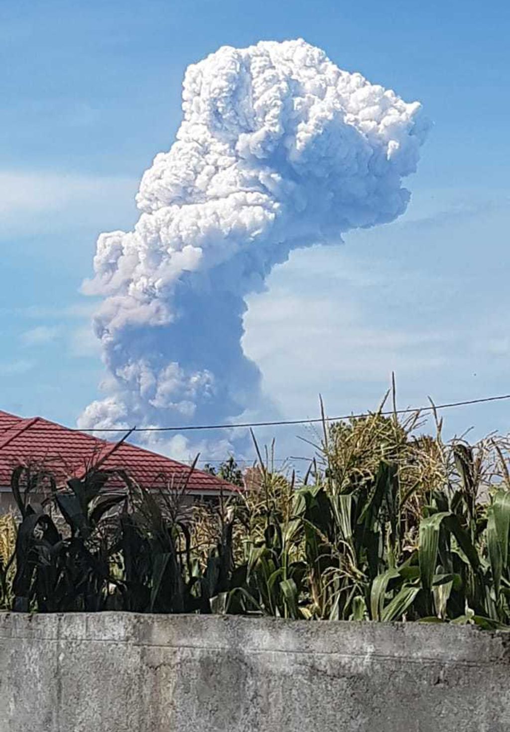 Volcano erupts on quake-hit Indonesia island | Cebu Daily News