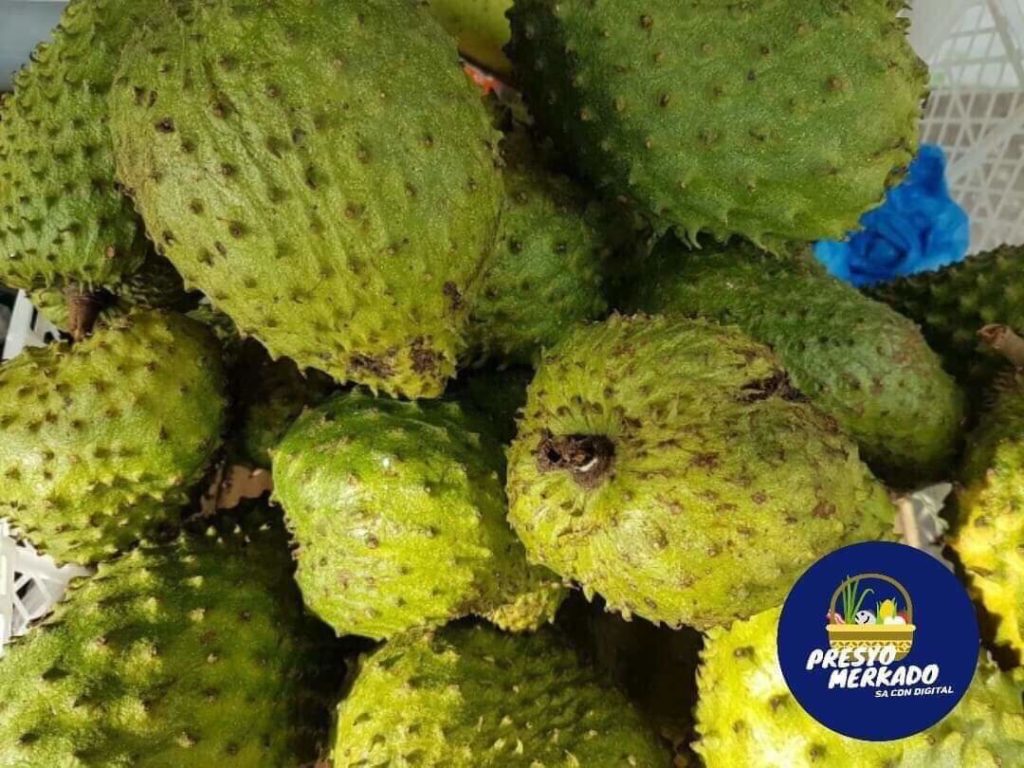 Guyabano and its medicinal properties Cebu Daily News